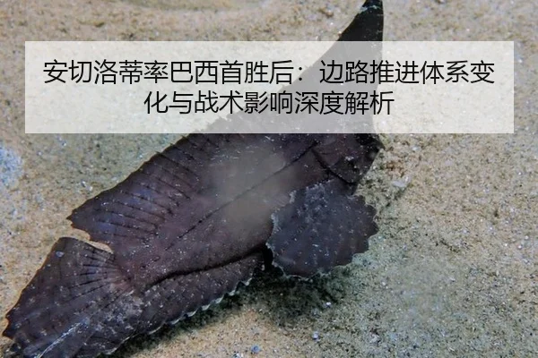 an-qie-luo-di-lv-ba-xi-shou-sheng-hou-bian-lu-tui-jin-ti-xi-bian-hua-yu-zhan-shu-ying-xiang-shen-du-jie-xi-2-916.jpg