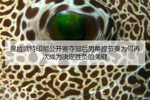 昆拉武特印尼公开赛夺冠后男单控节奏为何再次成为决定胜负的关键