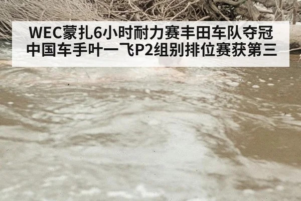 WEC蒙扎6小时耐力赛丰田车队夺冠 中国车手叶一飞P2组别排位赛获第三