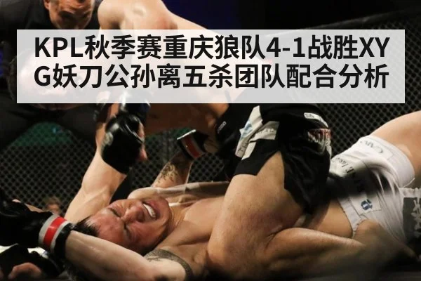 KPL秋季赛重庆狼队4-1战胜XYG妖刀公孙离五杀团队配合分析