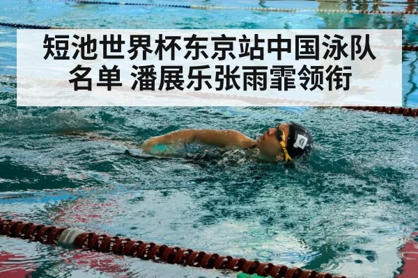 短池世界杯东京站中国泳队名单 潘展乐张雨霏领衔